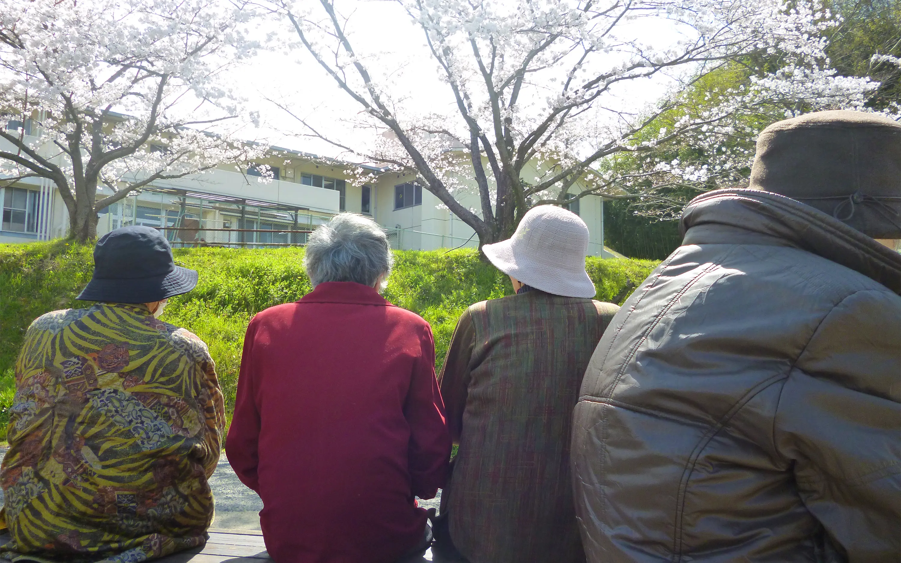 社会福祉法人 浅原桃花会 お花見